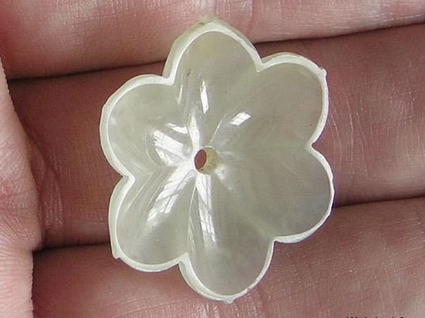 Flower 401 - (4973)